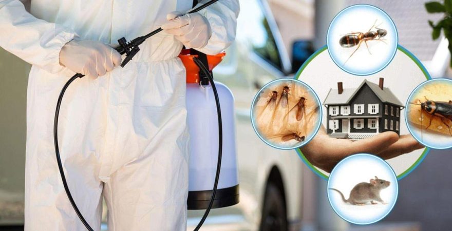 İdil Böcek İlaçlama