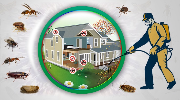 İdil Böcek İlaçlama