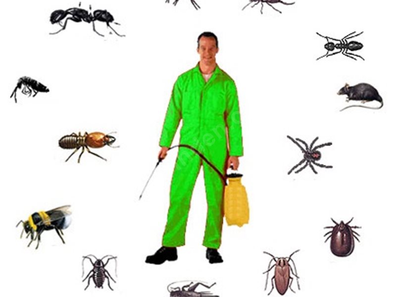 İdil Böcek İlaçlama